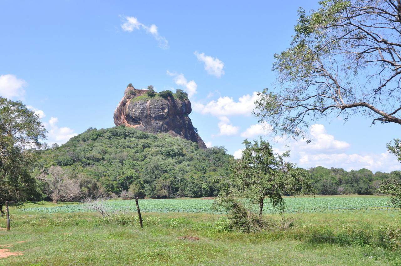 Lathika Homes Sigiriya Bagian luar foto